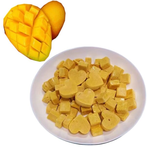 Mango with nuts Crunchy Fruit Snack